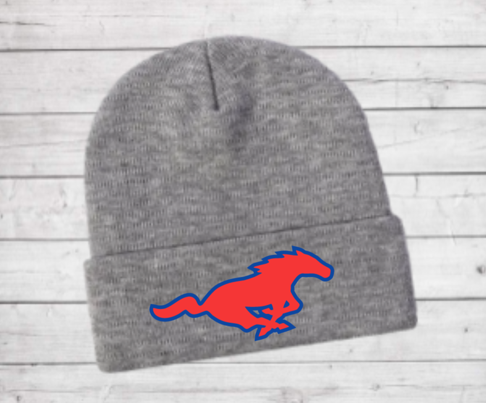 Grapevine Soccer Beanie