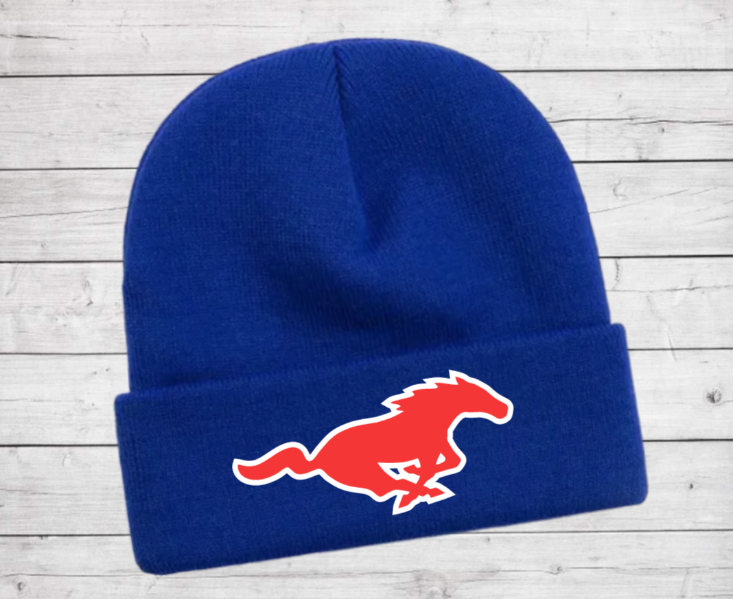 Grapevine Soccer Beanie
